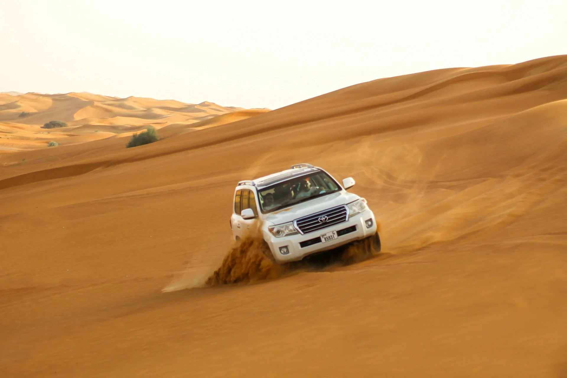 Premium Desert Safari Dubai - Dubai Desert Safari Experience